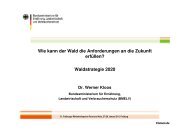 W. Kloos - 33. Freiburger Winterkolloquium Forst und Holz