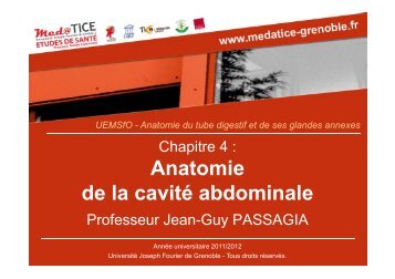 Anatomie de la cavitÃ© abdominale - UniversitÃ© Virtuelle Paris 5