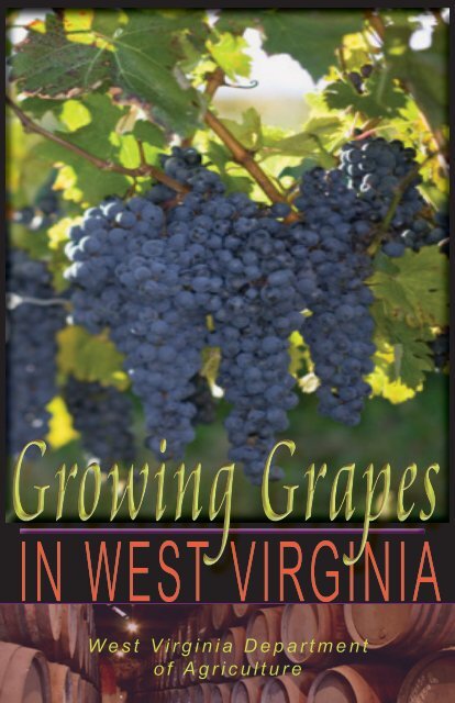 Growing Grapes in WV - West Virginia Department of Agriculture