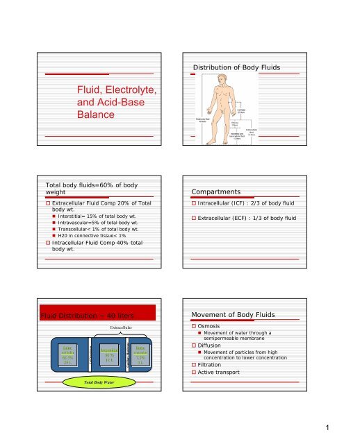 Fluid, Electrolyte, and Acid-Base Balance