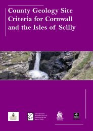 County Geology Site Criteria for Cornwall and the Isles of Scilly