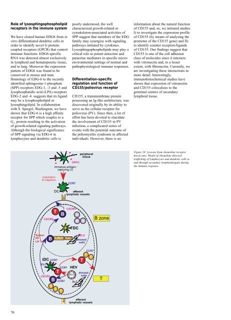 Research Report 2000 - MDC