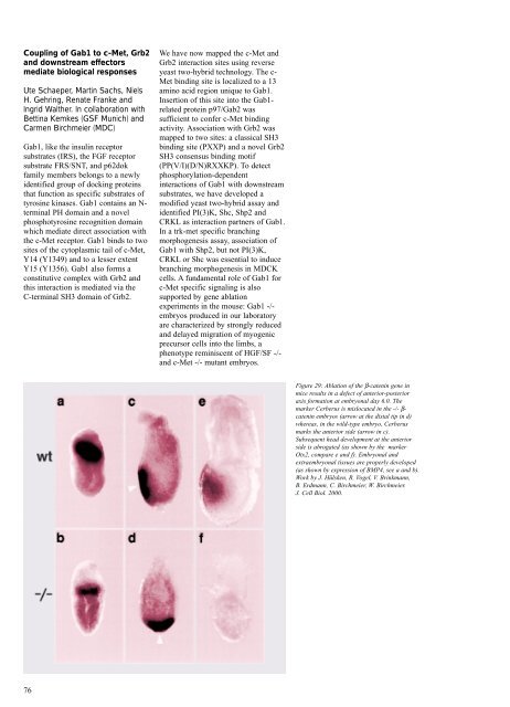 Research Report 2000 - MDC