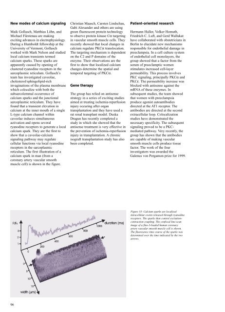 Research Report 2000 - MDC