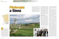 Clinica fitoterapica a Siena - Farmacia Europa Cassino