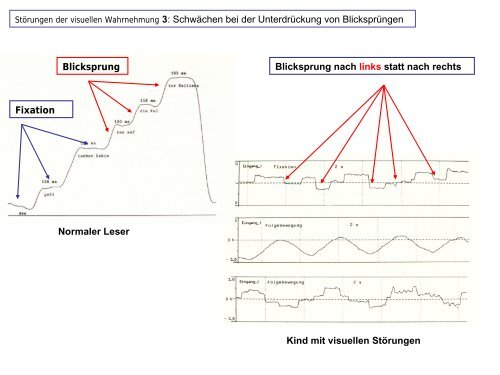 Visuelle Verarbeitung und Wahrnehmung