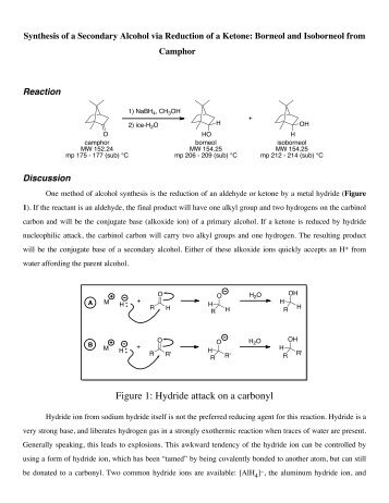 Reduction of Camphor Lab-Handout