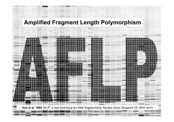 Amplified Fragment Length Polymorphism - hirc.botanic.hr ...