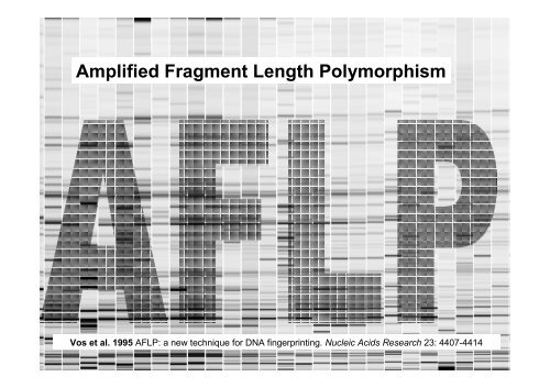 Amplified Fragment Length Polymorphism - hirc.botanic.hr ...