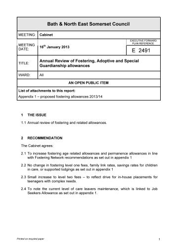 E2491 Fostering Allowances Annual Review PDF 65 KB