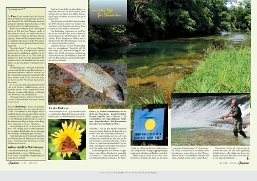 An der Sava Bohinjka. GASTLÄNDER