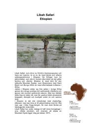 Libah Safari Etiopien - African Adventure