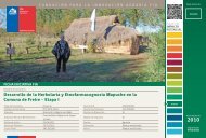 Desarrollo de la Herbolaria y Etnofarmacognosia Mapuche en ... - Fia