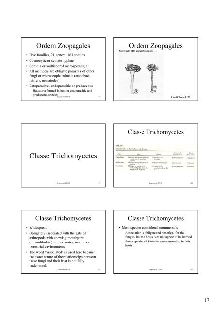 F0007 - Phylum Zygomycota and the new classification - Univap