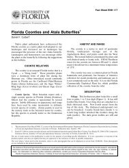 Florida Coonties and Atala Butterflies - Palm and Cycad Societies of ...