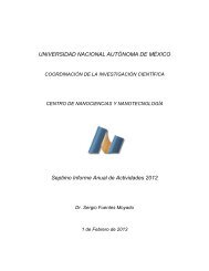 Informe anual 2012 - CNyN - UNAM