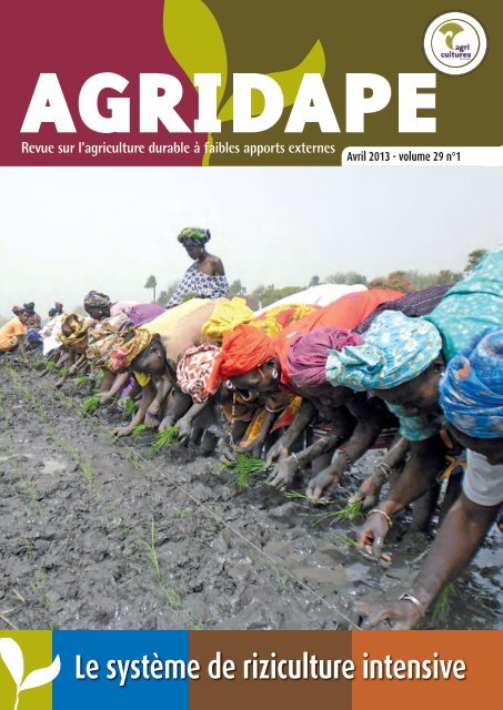 Avril 2013 - Le système de riziculture intensive - IED afrique