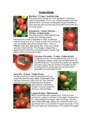 Tomato Varieties - Laels Moon Garden Nursery