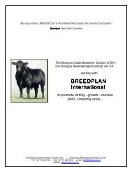 English - The Brangus Cattle Breeders' Society of South Africa