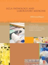 ucla pathology and laboratory medicine - the UCLA Department of ...