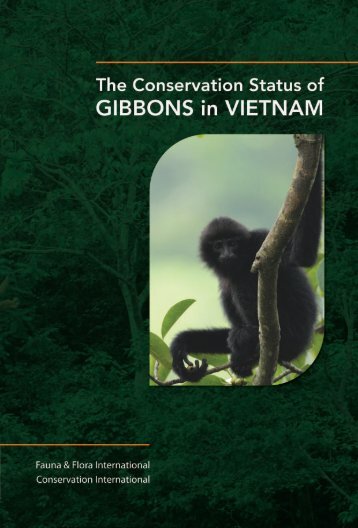 The Conservation Status of Gibbons in Vietnam - Gibbon Research ...