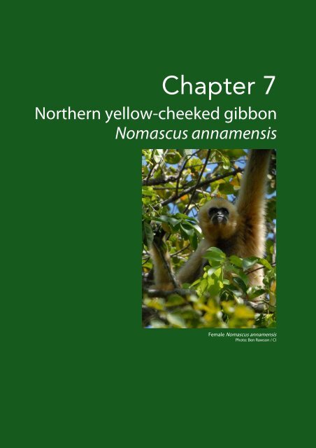 The Conservation Status of Gibbons in Vietnam - Gibbon Research ...