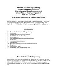 Konsolidierte SPO IHM vom 13.07.2009 - Hochschule Ingolstadt