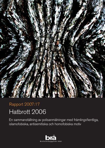 Hatbrott 2006 (pdf) - BrottsfÃ¶rebyggande rÃ¥det