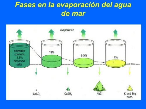 Composición Química del Agua de Mar - CEAB