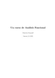 Un curso de Análisis Funcional - IAM
