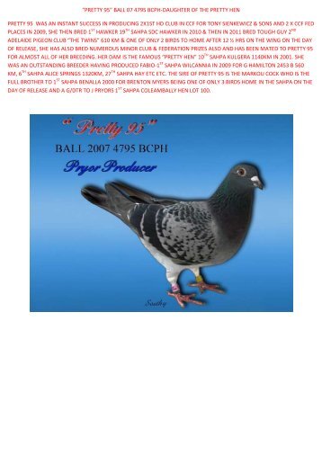 “PRETTY 95” BALL 07 4795 BCPH-DAUGHTER OF ... - pigeon sales