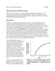 Behavioral Ecology: Optimal Foraging Introduction - Mama Indstate