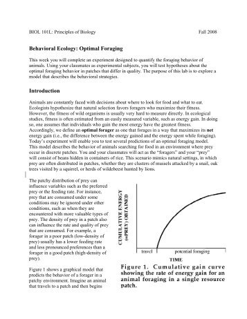 Behavioral Ecology: Optimal Foraging Introduction - Mama Indstate