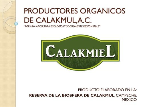 productores organicos de calakmul, ac