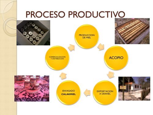 productores organicos de calakmul, ac