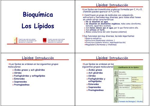 BioquÃ­mica Los LÃ­pidos