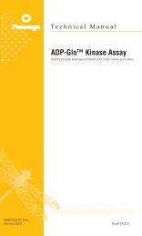 ADP-Glo(TM) Kinase Assay Technical Manual, TM313