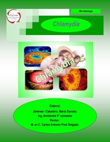 Chlamydia - Itescham.com