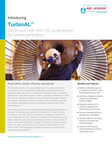 TurbinAL High-Flow CO2 Purge System for Turbine Generators from ...