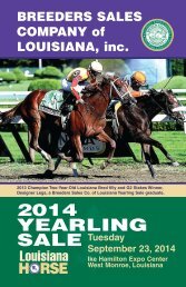 2014_Breeders_Sale_catalog