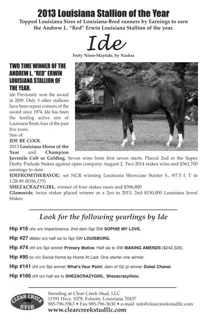 2014_Breeders_Sale_catalog