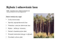 RÄbnie i odnowienie lasu - Stary serwis WydziaÅu LeÅnego SGGW