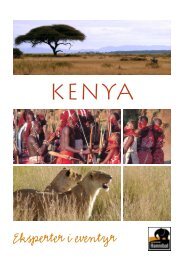 Kenya brochure - Jesper Hannibal