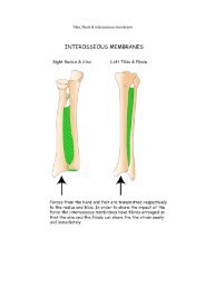 Tibia, fibula & interosseous membrane