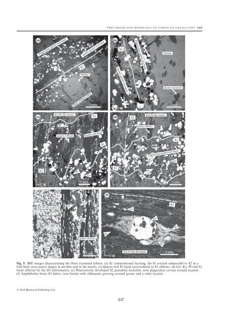 Quantitative structural analyses and numerical modelling of ...