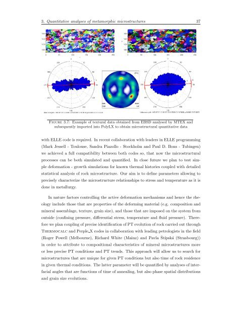 Quantitative structural analyses and numerical modelling of ...