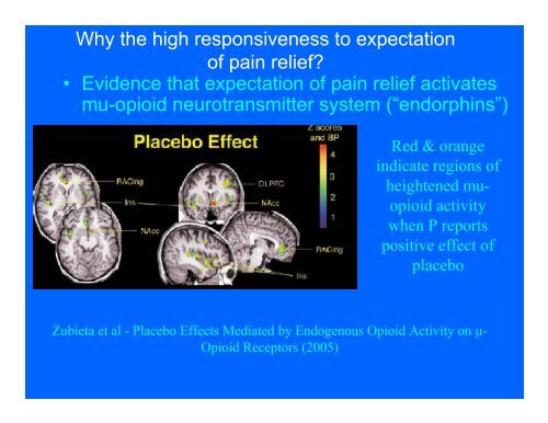 Perception • Active process • Involves selection, organization and ...