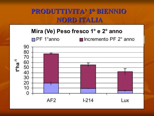 Produzione di syngas da legno e produzione di ... - Centro CISA