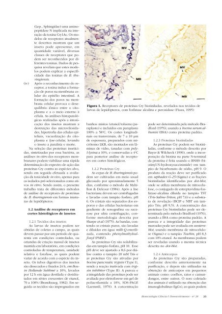 Biotecnologia CiÃªncia & Desenvolvimento - nÂº 38 1