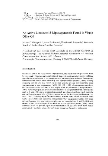 An active linoleate 13-lipoxygenase is found in virgin olive oil